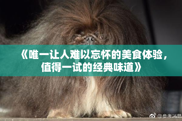 《唯一让人难以忘怀的美食体验，值得一试的经典味道》