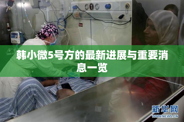 韩小微5号方的最新进展与重要消息一览