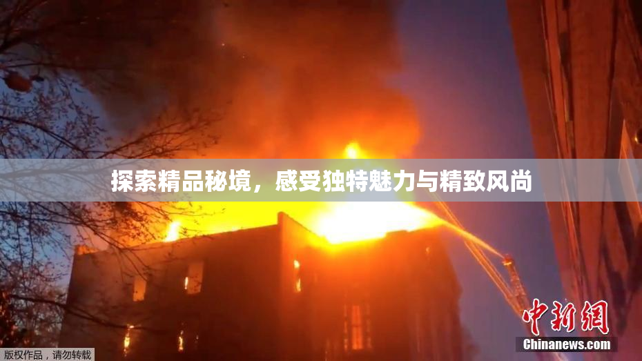 探索精品秘境，感受独特魅力与精致风尚