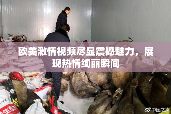 欧美激情视频尽显震撼魅力，展现热情绚丽瞬间
