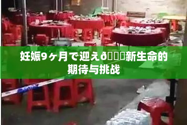 妊娠9ヶ月で迎え🌃新生命的期待与挑战