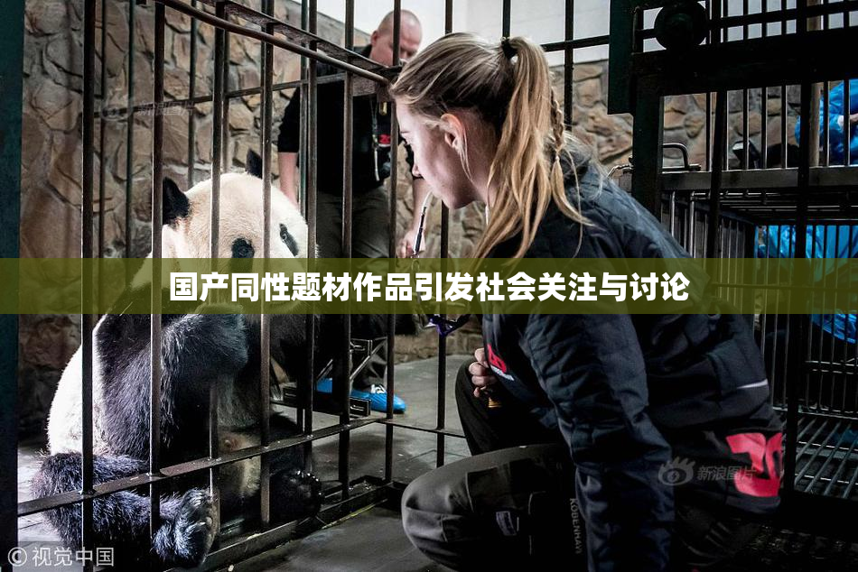 国产同性题材作品引发社会关注与讨论