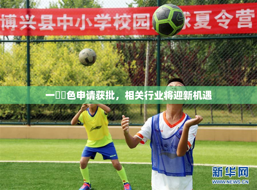 一級黃色申请获批，相关行业将迎新机遇