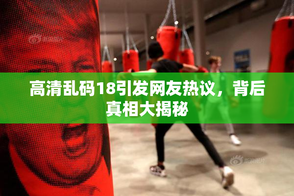 高清乱码18引发网友热议，背后真相大揭秘