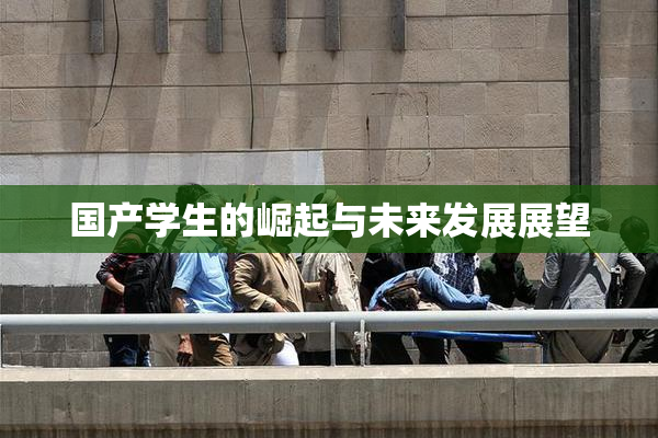 国产学生的崛起与未来发展展望