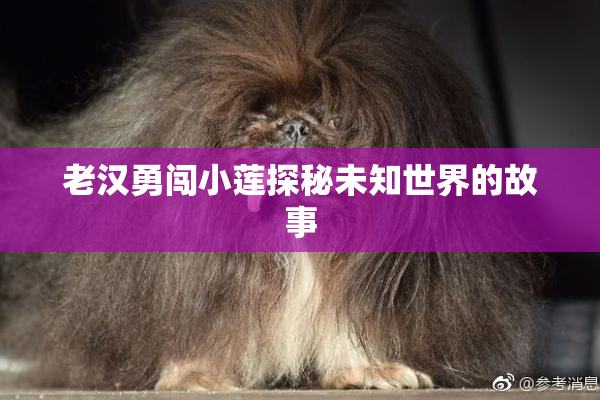 老汉勇闯小莲探秘未知世界的故事