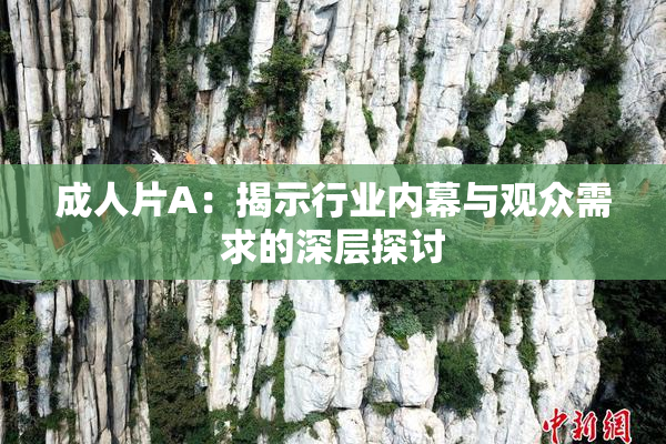 成人片A：揭示行业内幕与观众需求的深层探讨