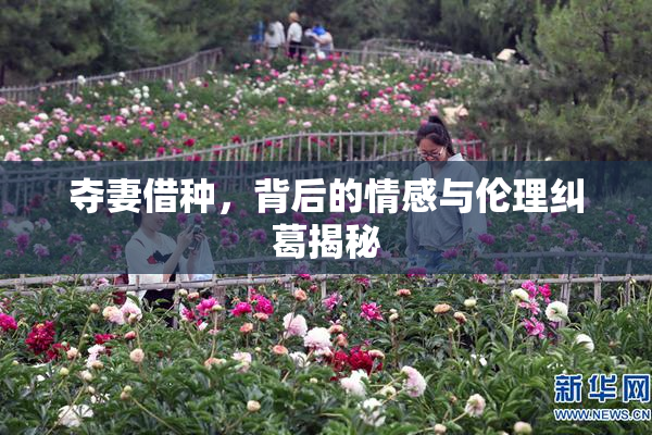 夺妻借种，背后的情感与伦理纠葛揭秘