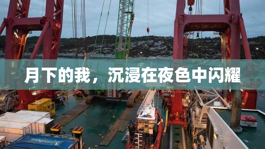 月下的我，沉浸在夜色中闪耀