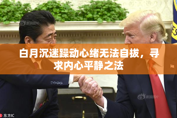 白月沉迷躁动心绪无法自拔，寻求内心平静之法