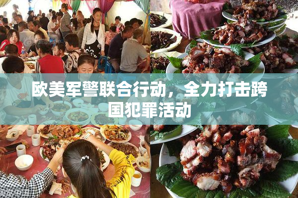 欧美军警联合行动，全力打击跨国犯罪活动