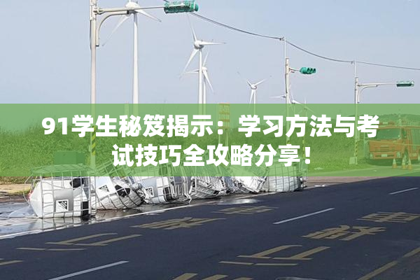 91学生秘笈揭示：学习方法与考试技巧全攻略分享！
