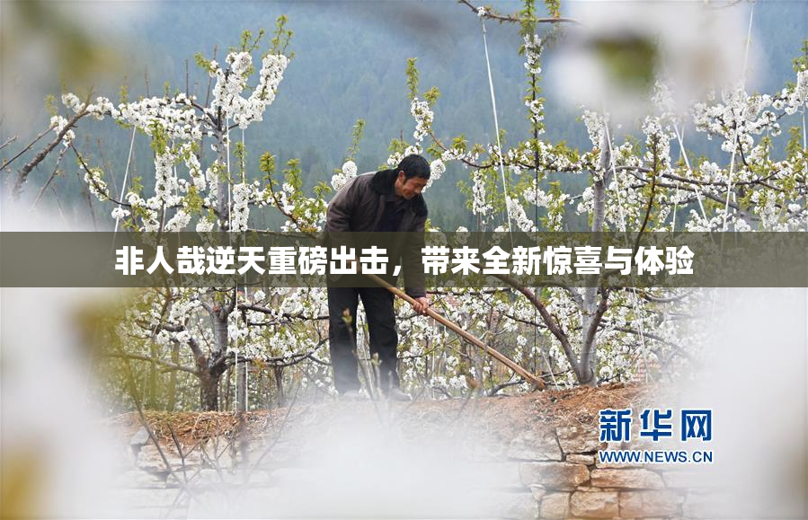 非人哉逆天重磅出击，带来全新惊喜与体验