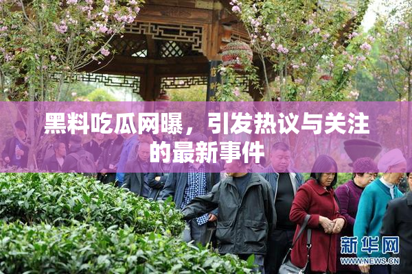 黑料吃瓜网曝，引发热议与关注的最新事件