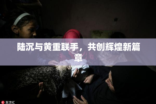 陆沉与黄重联手，共创辉煌新篇章