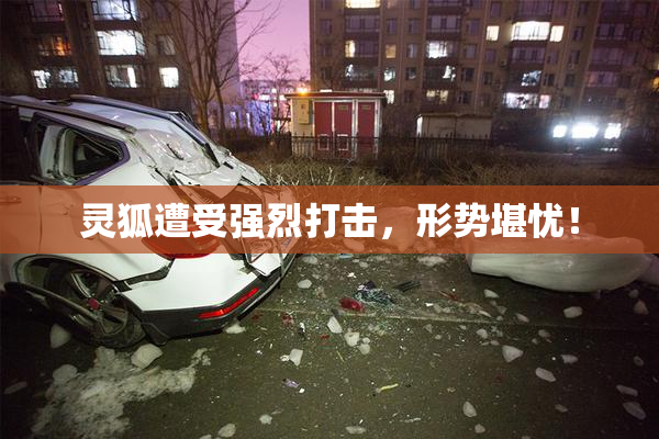 灵狐遭受强烈打击，形势堪忧！