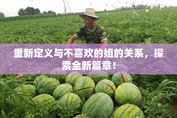 重新定义与不喜欢的姐的关系，探索全新篇章！