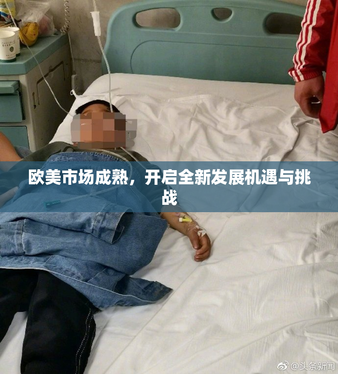 欧美市场成熟，开启全新发展机遇与挑战