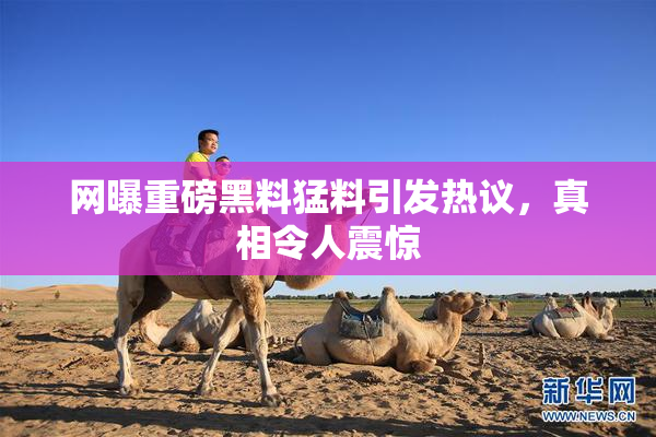 网曝重磅黑料猛料引发热议，真相令人震惊