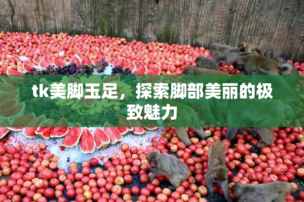 tk美脚玉足，探索脚部美丽的极致魅力