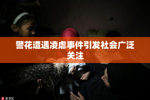 警花遭遇凌虐事件引发社会广泛关注