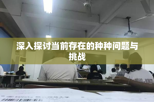 深入探讨当前存在的种种问题与挑战