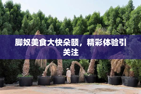 脚奴美食大快朵颐，精彩体验引关注