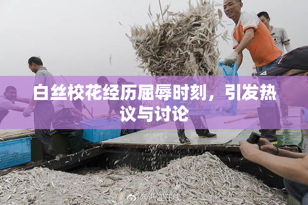 白丝校花经历屈辱时刻，引发热议与讨论