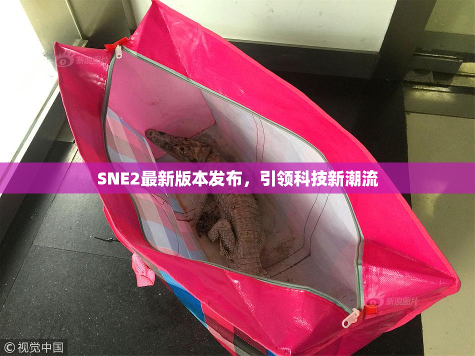 SNE2最新版本发布，引领科技新潮流