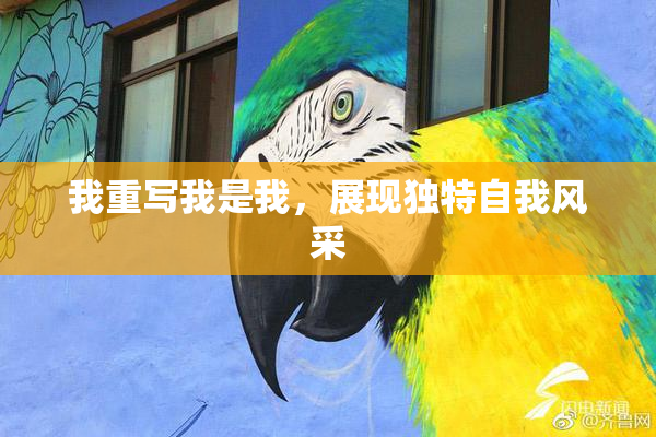 我重写我是我，展现独特自我风采