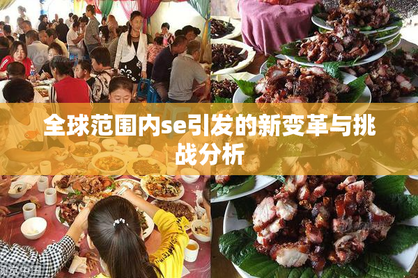 全球范围内se引发的新变革与挑战分析