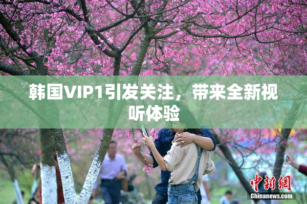韩国VIP1引发关注，带来全新视听体验
