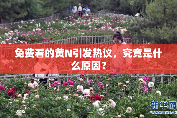 免费看的黄Ν引发热议，究竟是什么原因？