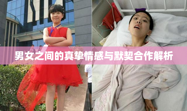 男女之间的真挚情感与默契合作解析