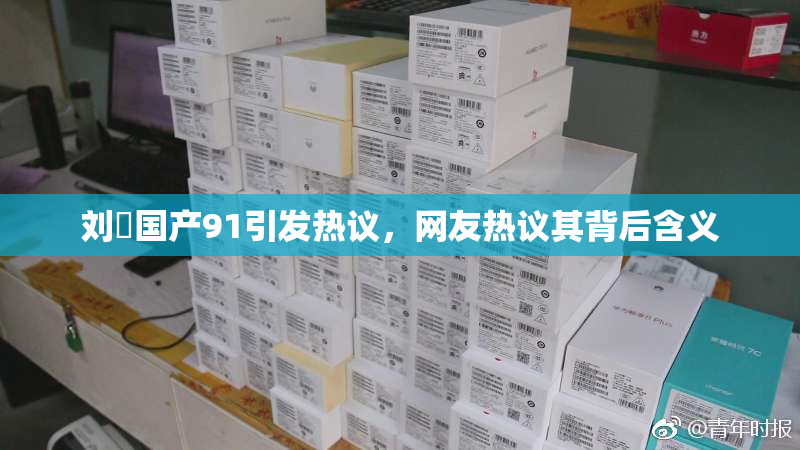 刘玥国产91引发热议，网友热议其背后含义