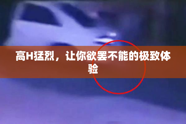 高H猛烈，让你欲罢不能的极致体验