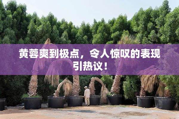 黄蓉爽到极点，令人惊叹的表现引热议！