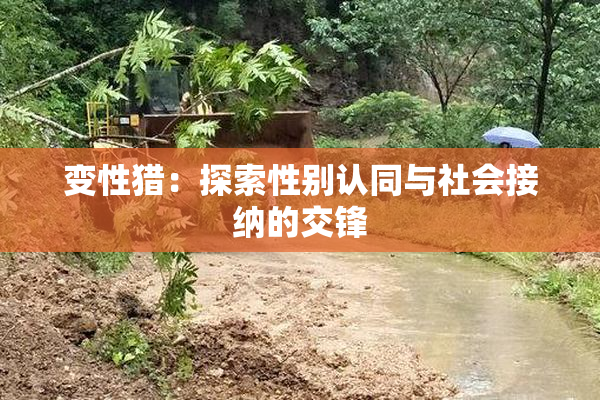 变性猎：探索性别认同与社会接纳的交锋