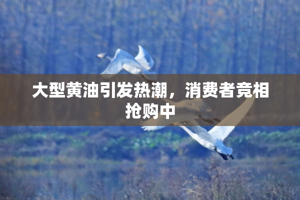 大型黄油引发热潮，消费者竞相抢购中