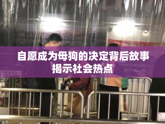 自愿成为母狗的决定背后故事揭示社会热点