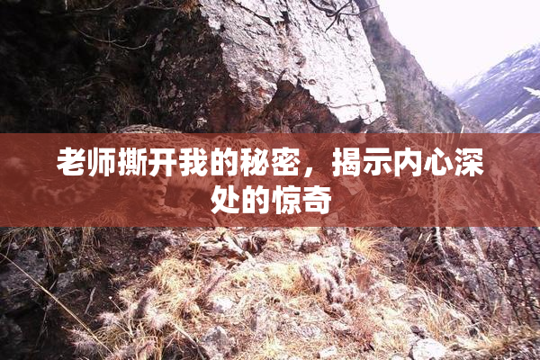 老师撕开我的秘密，揭示内心深处的惊奇