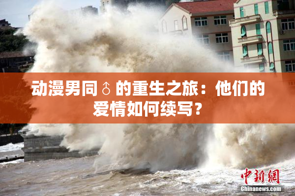 动漫男同♂的重生之旅：他们的爱情如何续写？