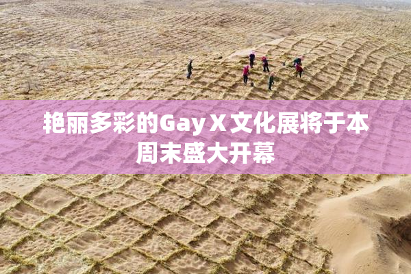 艳丽多彩的GayⅩ文化展将于本周末盛大开幕