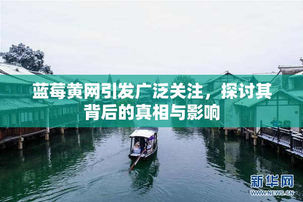 蓝莓黄网引发广泛关注，探讨其背后的真相与影响