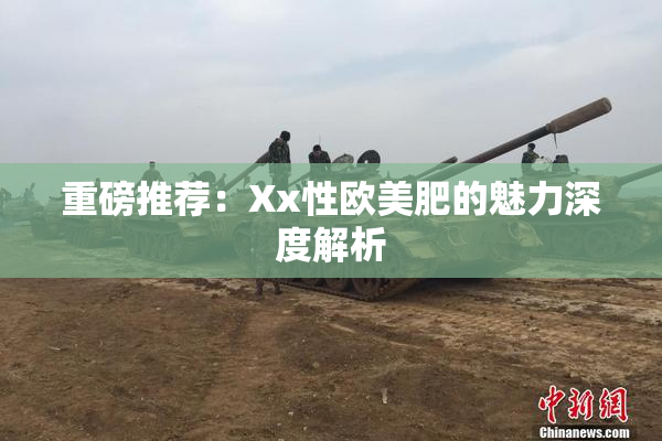 重磅推荐：Xx性欧美肥的魅力深度解析