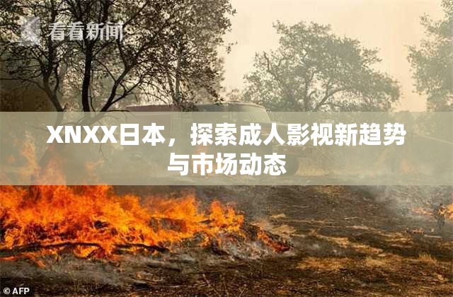XNXX日本，探索成人影视新趋势与市场动态