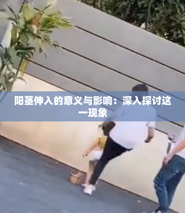 阳茎伸入的意义与影响：深入探讨这一现象