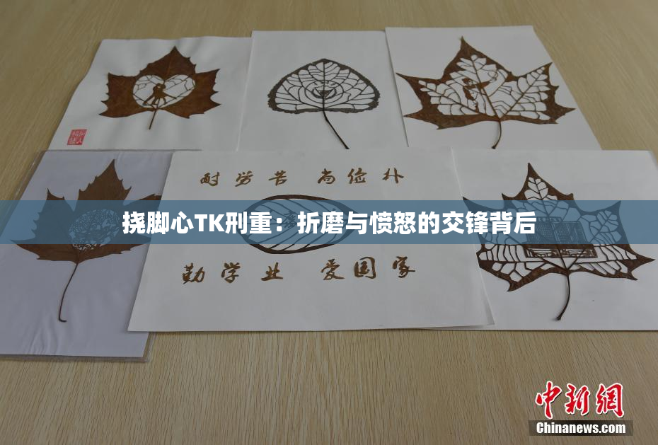 挠脚心TK刑重：折磨与愤怒的交锋背后