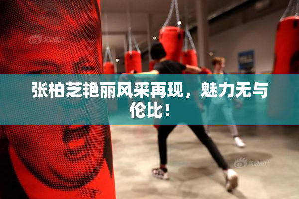 张柏芝艳丽风采再现，魅力无与伦比！