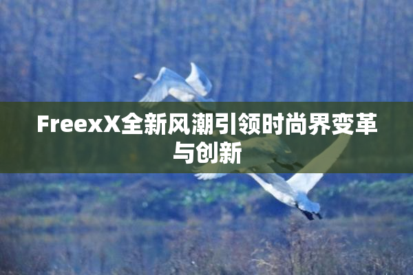 FreexX全新风潮引领时尚界变革与创新